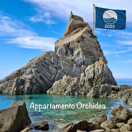 Apartament Orchidea